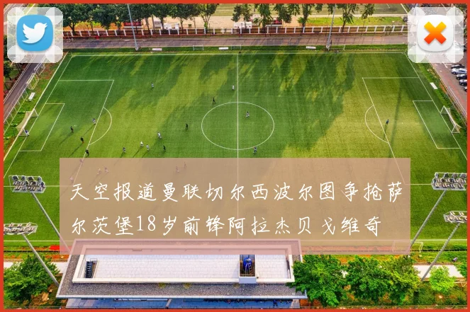 天空报道曼联切尔西波尔图争抢萨尔茨堡18岁前锋阿拉杰贝戈维奇