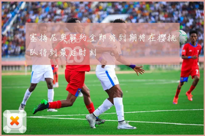 塞梅尼奥解约金即将到期将在樱桃队待到最后时刻