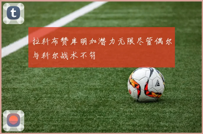 拉科布赞库明加潜力无限尽管偶尔与科尔战术不符