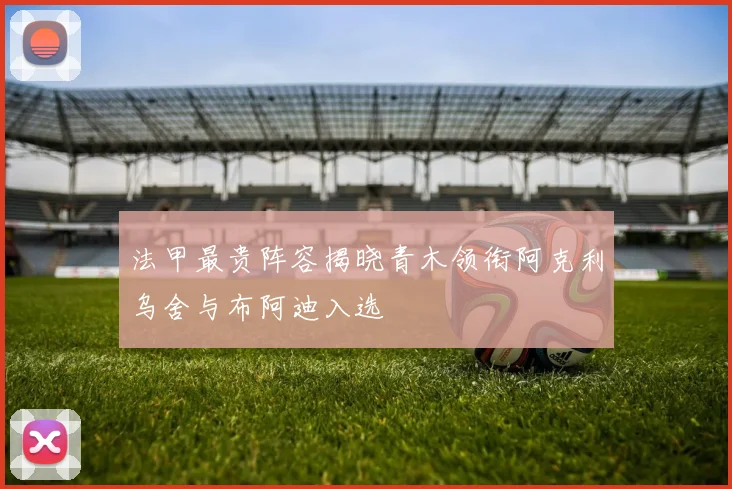 法甲最贵阵容揭晓青木领衔阿克利乌舍与布阿迪入选