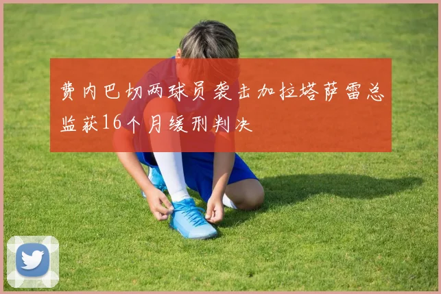 费内巴切两球员袭击加拉塔萨雷总监获16个月缓刑判决