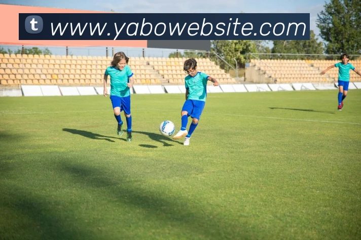 多媒体互动体验